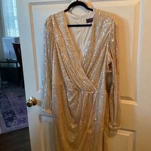 Cute gold Sequined dress. Very flattering.